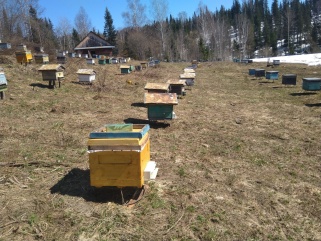 Пчеловоды открыли сезон 2021 года